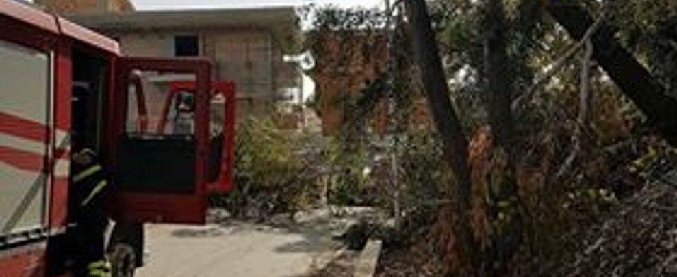 Caulonia, albero caduto in via Pietro Calafiore, sfiorata la tragedia