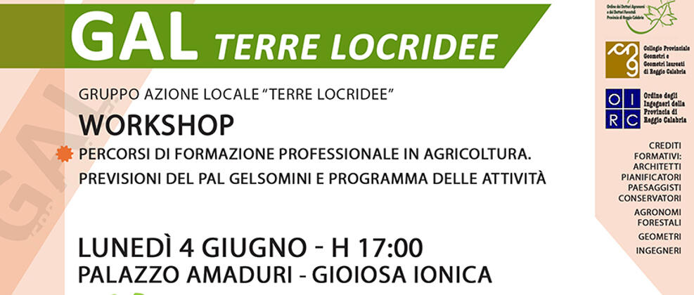 Il GAL Terre Locridee fa tappa a Gioiosa Ionica