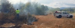Oggi a Caulonia ben quattro incendi spenti dalla Protezione Civile item-thumbnail