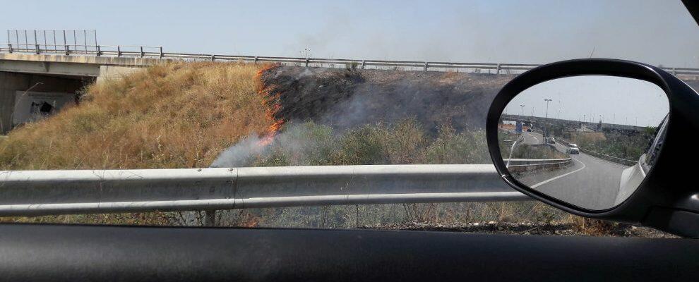 Gioiosa Ionica: bruciano sterpaglie allo svincolo della SGC