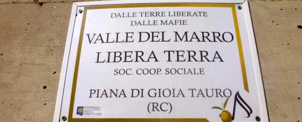 Furto in un terreno confiscato alla mafia, solidarietà di GOEL alla cooperativa Valle del Marro