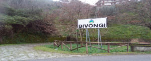 Giovedì riapre il mercato di Bivongi nel rispetto delle regole anti – covid 19 item-thumbnail