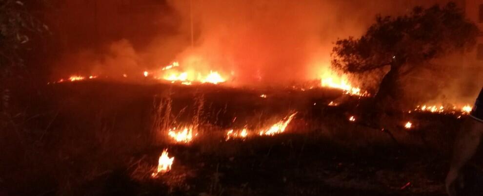 Incendio a Caulonia marina in zona Torre. Spento dalla protezione civile