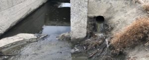 La fogna scarica in mare in Contrada Vasì di Caulonia – fotogallery item-thumbnail