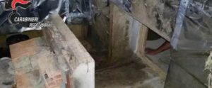 Scoperto bunker adibito a serra di marijuana nella Locride item-thumbnail