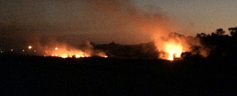 Incendio lungo la pista ciclabile tra Caulonia e Roccella