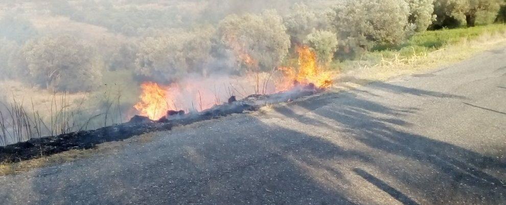 Incendio nella frazione cauloniese di Carrubbara