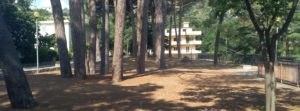 Gioiosa Ionica: domani sabato 21 Luglio volontariato ecologico presso la Collinetta dei Pini item-thumbnail