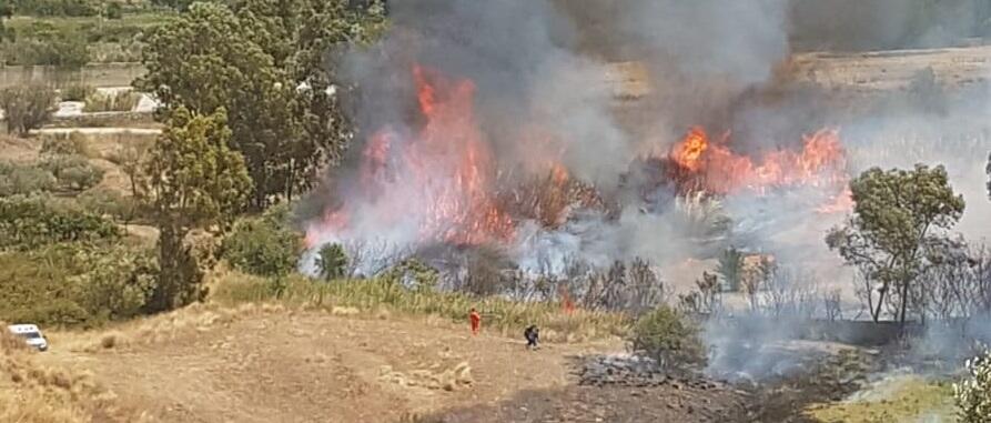 Inferno di fuoco a Caulonia. Fiamme alte 15 metri