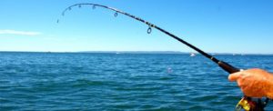 Foto del giorno: a Caulonia si pesca alla grande item-thumbnail