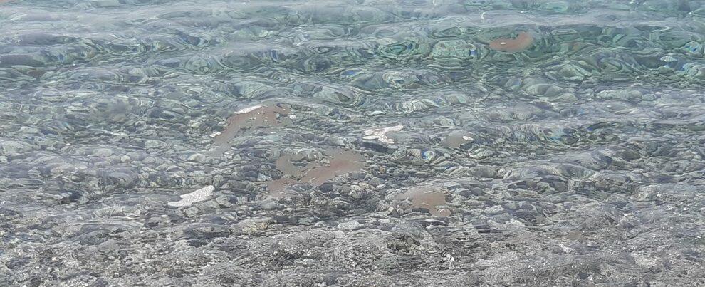 Caulonia naviga in un mare di merda