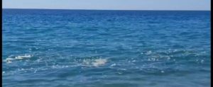 Segnalazione da Caulonia: “Sogni per un anno il mare della Calabria e poi…” item-thumbnail