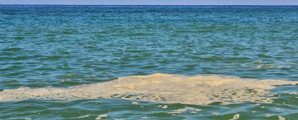 Analizzata la schiuma prelevata nel mare di Locri, ecco i risultati