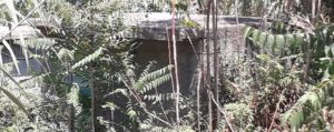 Segnalazione da Caulonia: “Al pozzo dell’acqua di contrada Vincilago bisognerebbe fare pulizia” item-thumbnail