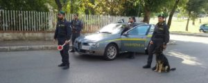 Sorpreso in casa con 160 dosi di cocaina , arrestato item-thumbnail