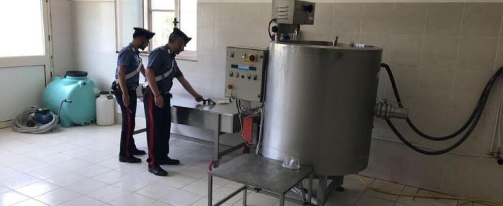 Controlli nelle aziende casearie, i Carabinieri sequestrano un quintale di formaggio