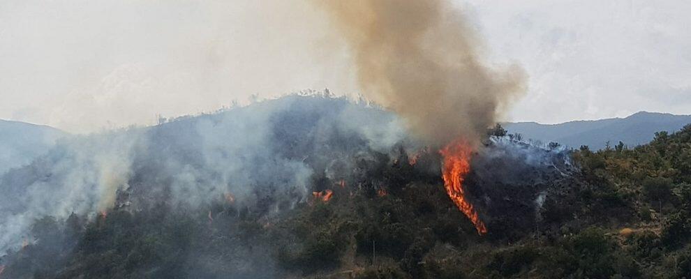 Incendio a Caulonia, di fronte al Santuario della Madonna dello Scoglio