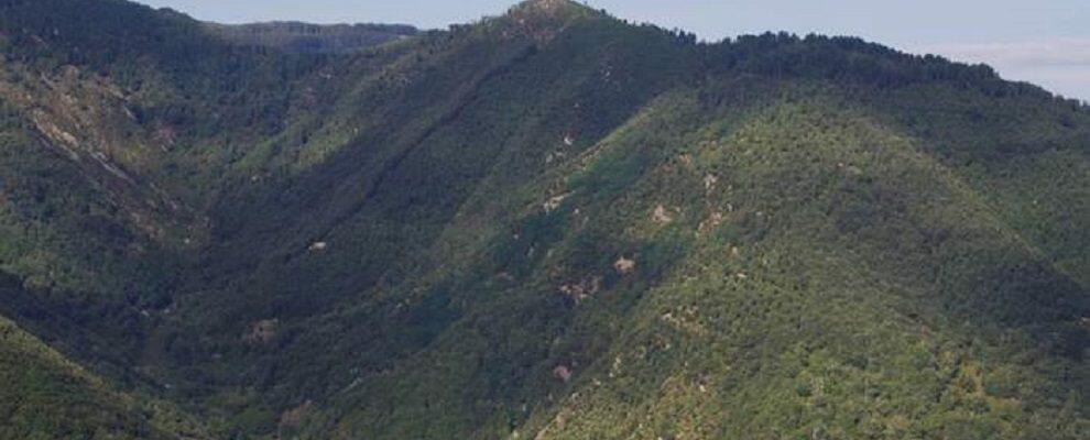 Operazione “Green Mountain”, scoperte 10 piantagioni di canapa indiana