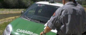 Nell’operazione “Deep 1” sequestrati i depuratori di Ardore, Stignano e Bivongi item-thumbnail