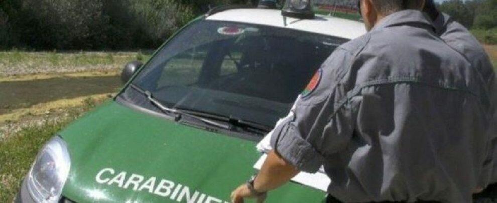 Beccati dai carabinieri a sversare letame irregolarmente, denunciate due persone