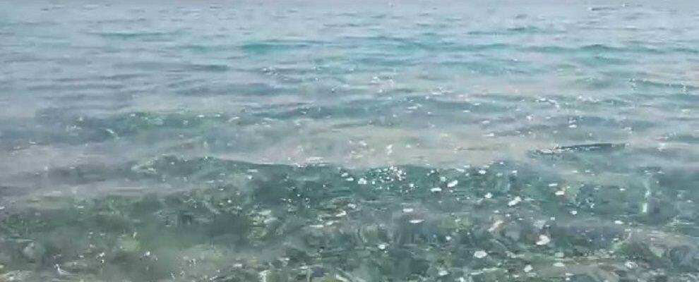 Lettore segnala: “Da mezzogiorno strane bollicine riempiono il mare di Caulonia” – video