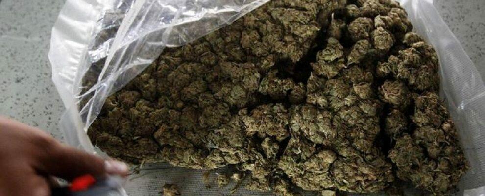 In casa con 1,2 kg di marijuana, un arresto a Gioiosa Ionica