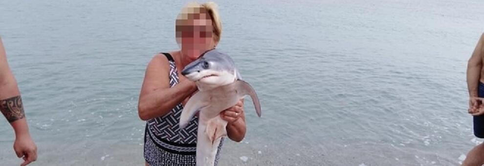 In Calabria cucciolo di squalo esposto come un trofeo