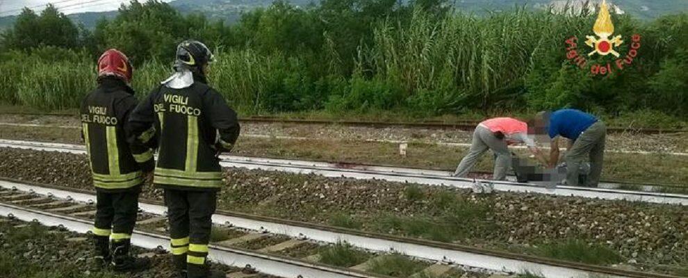 Tragedia in Calabria, raccoglieva legna vicino ai binari del treno: morto un 81enne