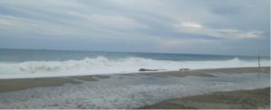 L’irruento mare di Caulonia – video item-thumbnail