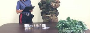 Arrestato dai Carabinieri per coltivazione di marijuana e detenzione di munizioni da guerra item-thumbnail