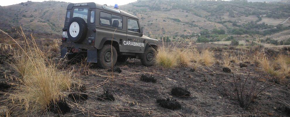 Appicca incendio all’interno del Parco Nazionale D’Aspromonte, deferito un bracciante agricolo