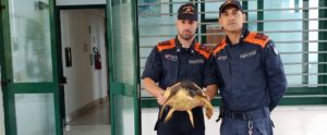 Roccella Jonica, diportisti salvano una tartaruga marina in difficoltà item-thumbnail