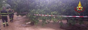 Tragedia in Calabria, la Procura apre un’indagine per omicidio colposo item-thumbnail