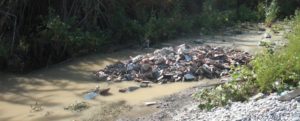 Fusti di olio e cumuli di eternit nella fiumara Gerace, la denuncia di Osservatorio Ambientale item-thumbnail