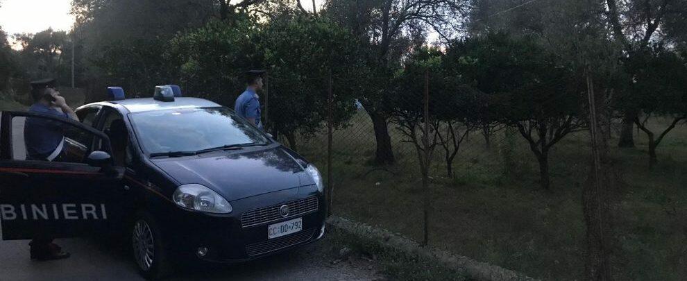 Sorpresi in un terreno privato a rubare 40kg di mandarini, 3 arresti a Cinquefrondi