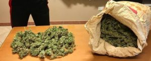 Arrestato Sebastiano Giorgi: sorpreso con 10kg di marijuana. Rinvenute, inoltre, due piantagioni di canapa item-thumbnail