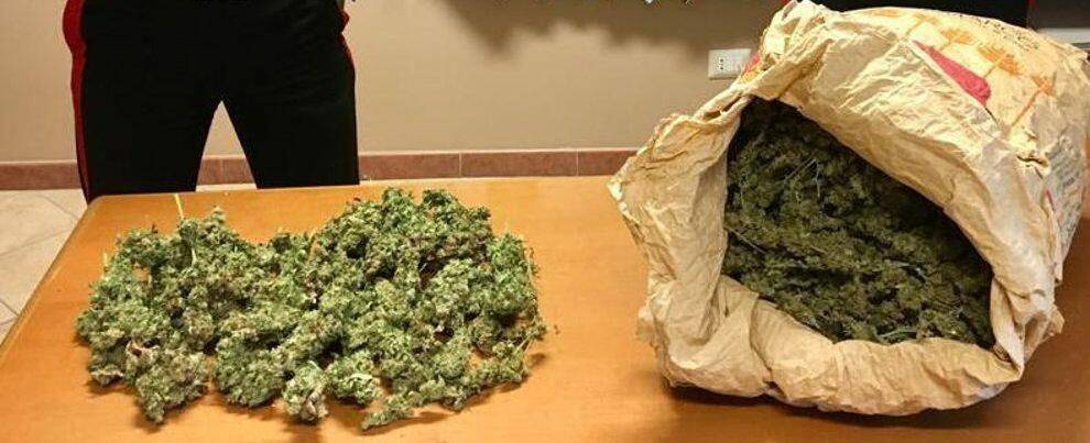 Arrestato Sebastiano Giorgi: sorpreso con 10kg di marijuana. Rinvenute, inoltre, due piantagioni di canapa