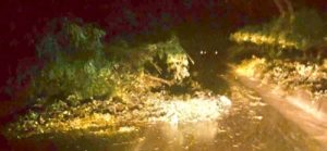 Automobilisti bloccati da frane, salvati item-thumbnail
