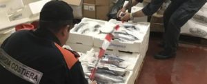 La Guardia costiera sequestra 45 esemplari di tonno rosso privi di tracciabilità item-thumbnail