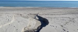 Lettore segnala scarico maleodorante sulla spiaggia di Caulonia item-thumbnail