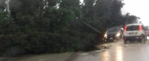 Ancora disagi a causa del maltempo sulla S.S. 106: Strade allagate e alberi caduti item-thumbnail