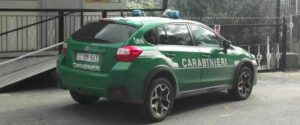 Creano struttura abusiva in Aspromonte per vendere prodotti da forno, deferiti item-thumbnail