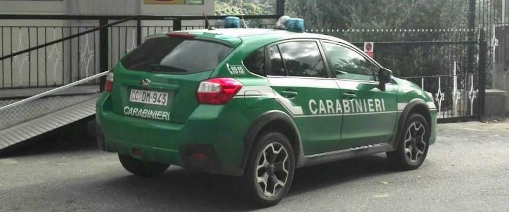 Creano struttura abusiva in Aspromonte per vendere prodotti da forno, deferiti