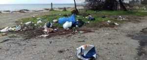 Cittadini denunciano discarica abusiva in una pineta item-thumbnail