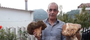 E’ roccellese il cercatore di funghi del mese item-thumbnail