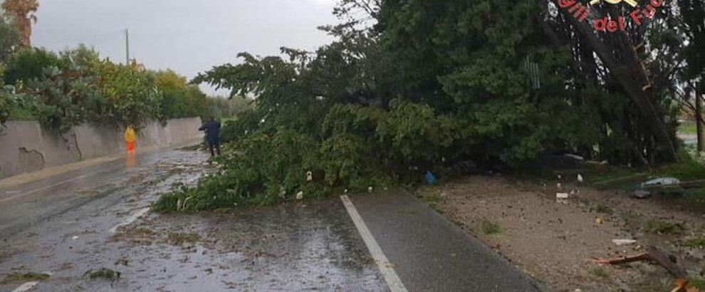 Numerose frane nelle strade provinciali a causa dell’ondata di maltempo in Calabria