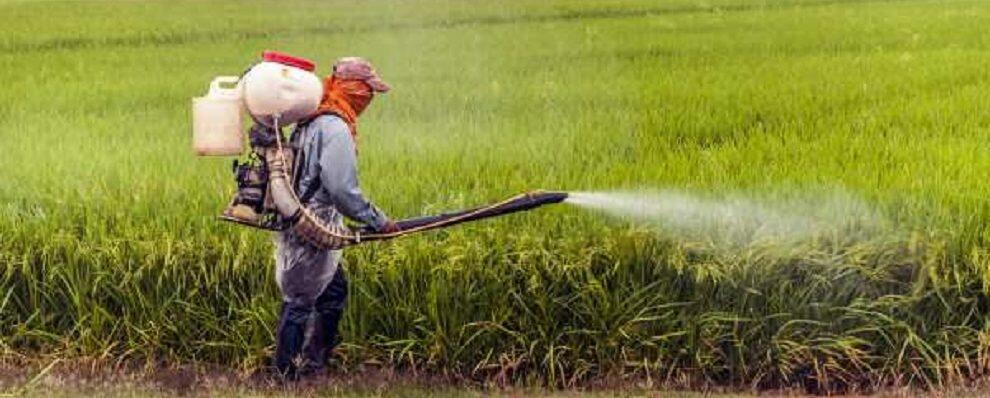 Appello di Recosol alle regioni italiane: “Sul glifosato fate come la Calabria!”