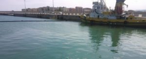 Orrore in Calabria: trovato il cadavere di un uomo nelle acque del porto item-thumbnail