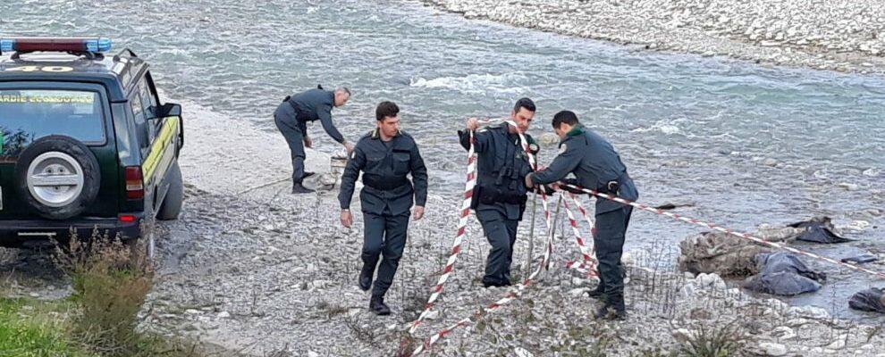 Caulonia, rinvenute carcasse di animali lungo la fiumara Allaro