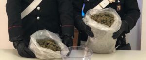 Sequestrati 5kg di marijuana nella Locride item-thumbnail